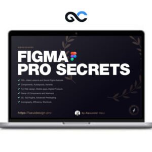 Alexunder Hess Figma Pro Secrets