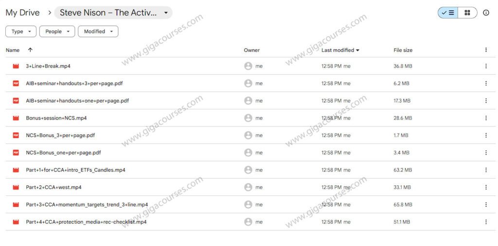 Steve Nison – The Active Investor Blueprint