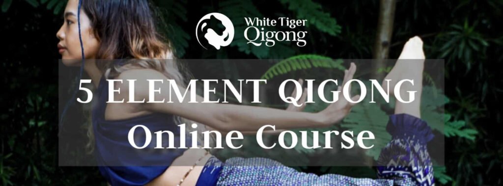 5 Element Qigong Online Course 2023 - White Tiger Qigong